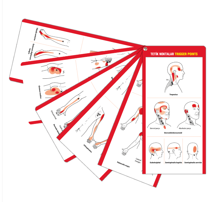 Muhteşem Fizyoterapi Seti (7 ÇOK SATAN BU SETTE)