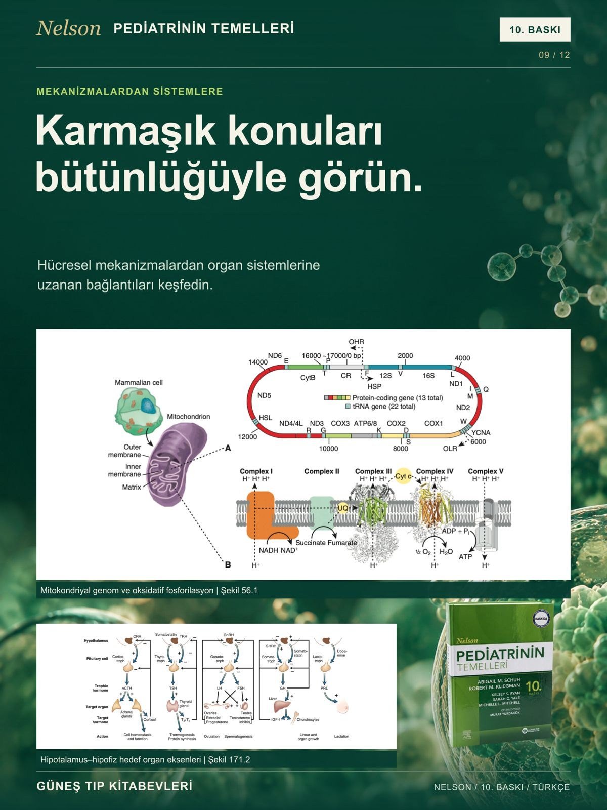 Nelson Pediatrinin Temelleri 10. Baskı