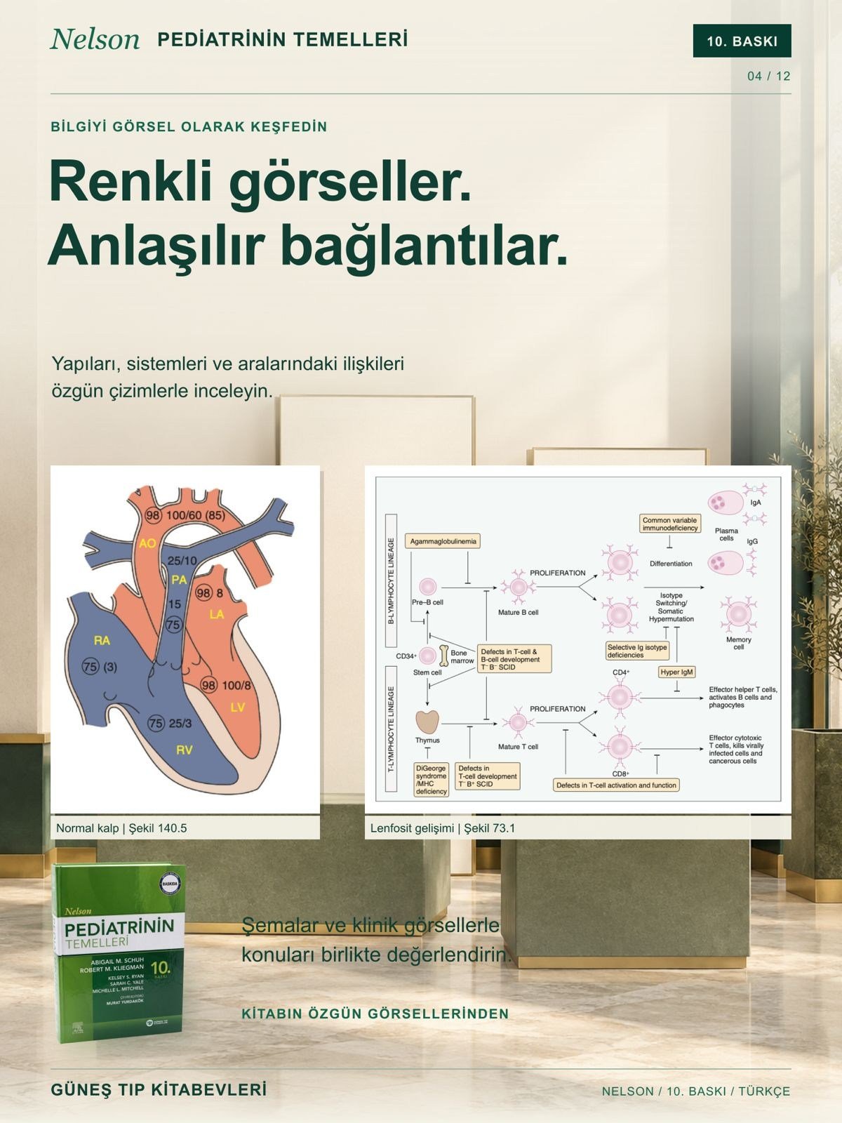 Nelson Pediatrinin Temelleri 10. Baskı