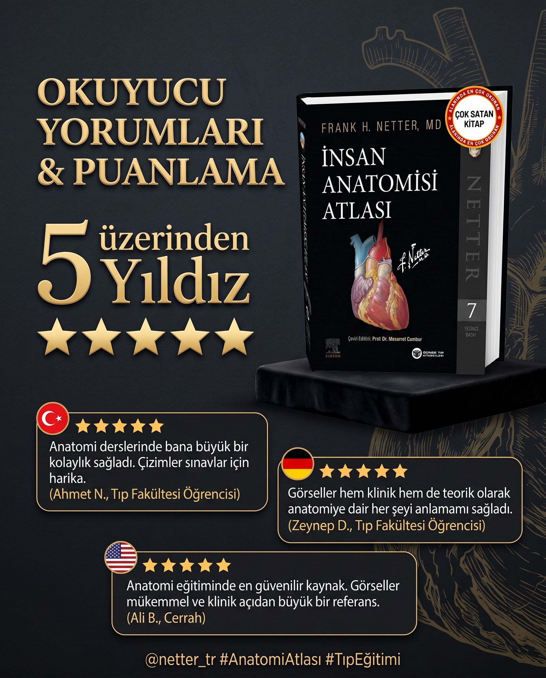 Netter İnsan Anatomisi Atlası