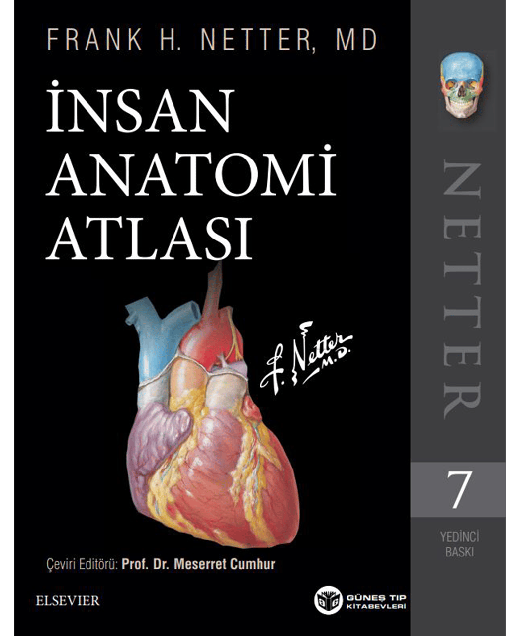 Netter İnsan Anatomisi Atlası