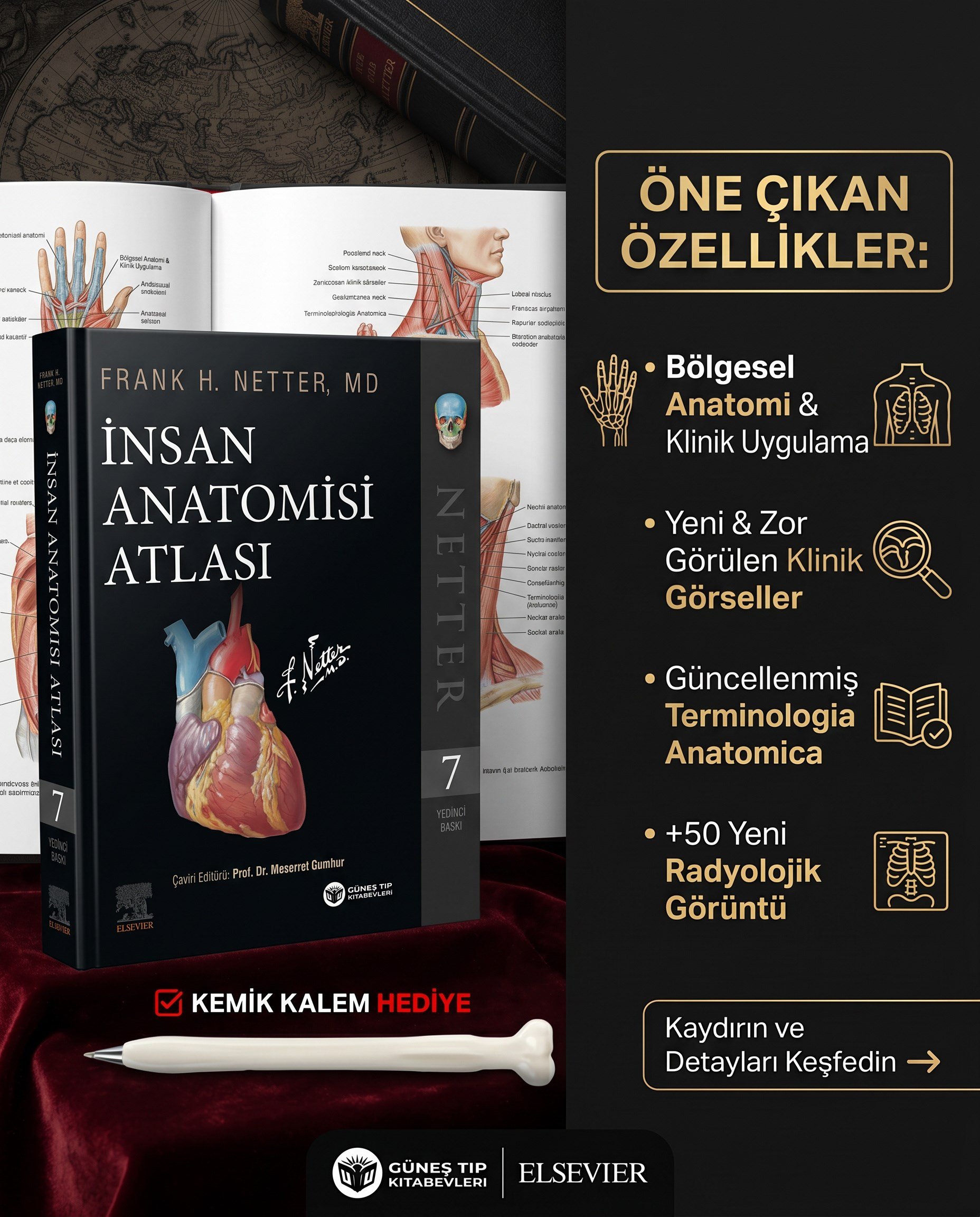 Netter İnsan Anatomisi Atlası