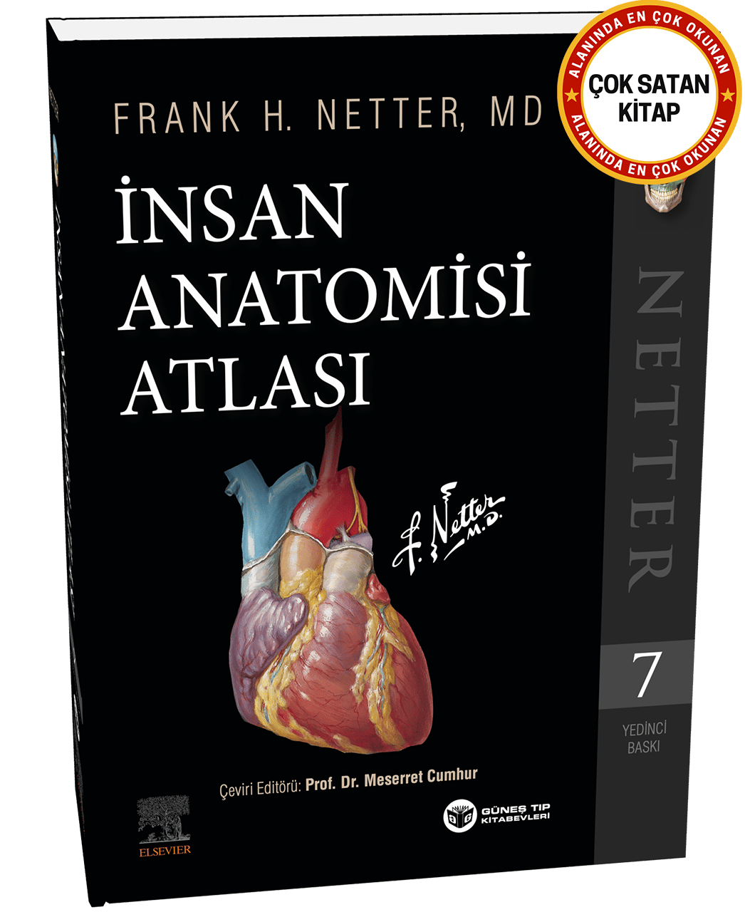 Netter İnsan Anatomisi Atlası