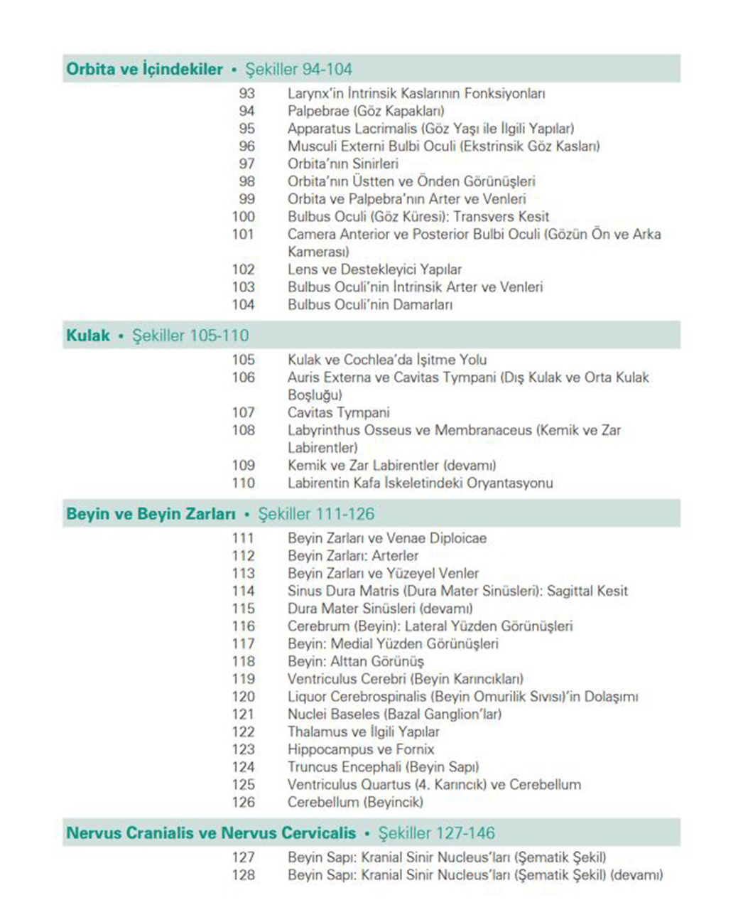 Netter İnsan Anatomisi Atlası