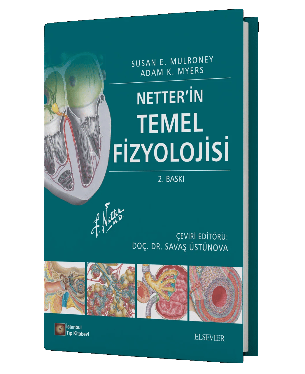 Netter'in Temel Fizyolojisi