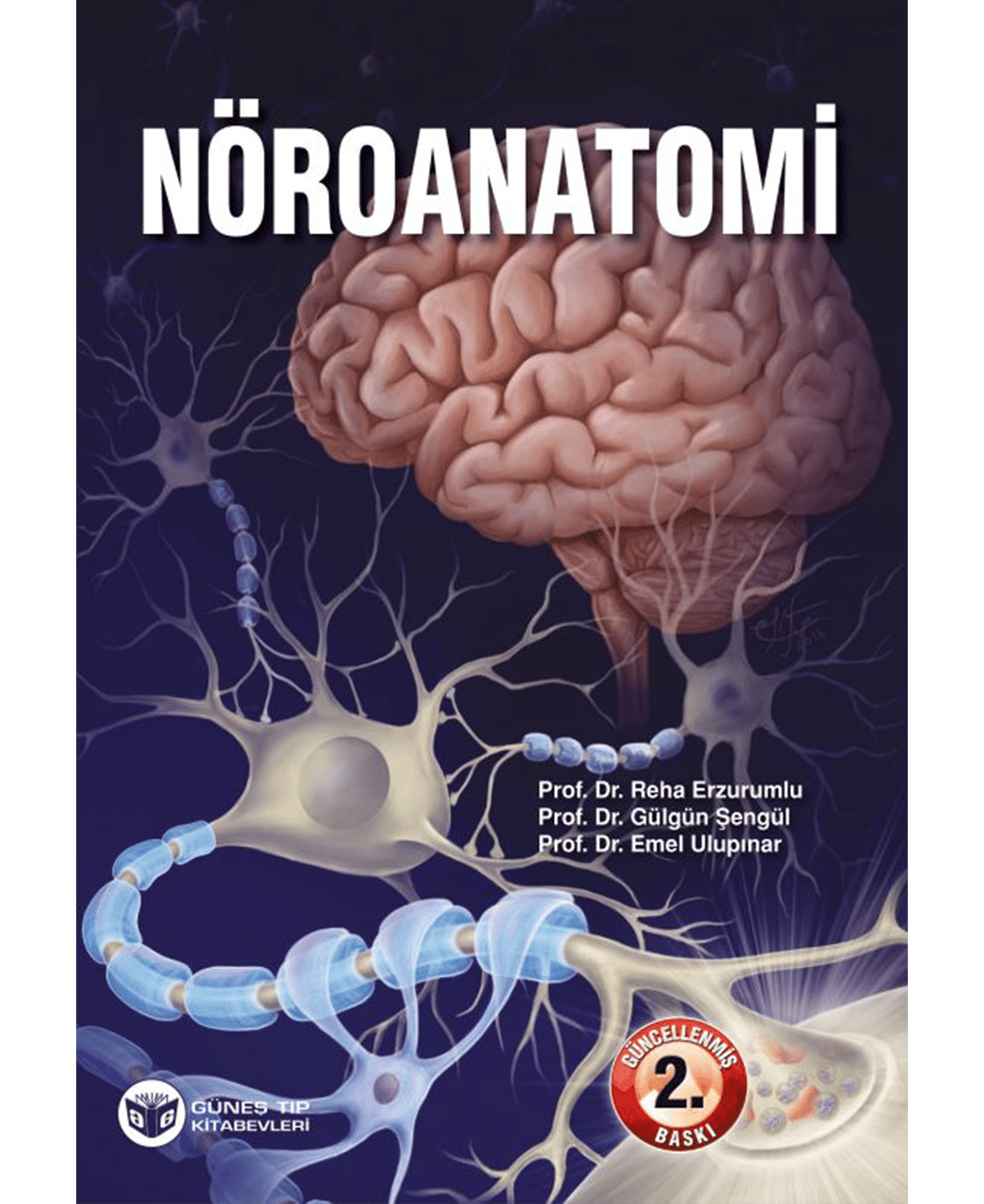 Nöroanatomi (Güncellenmiş 2. Baskı)