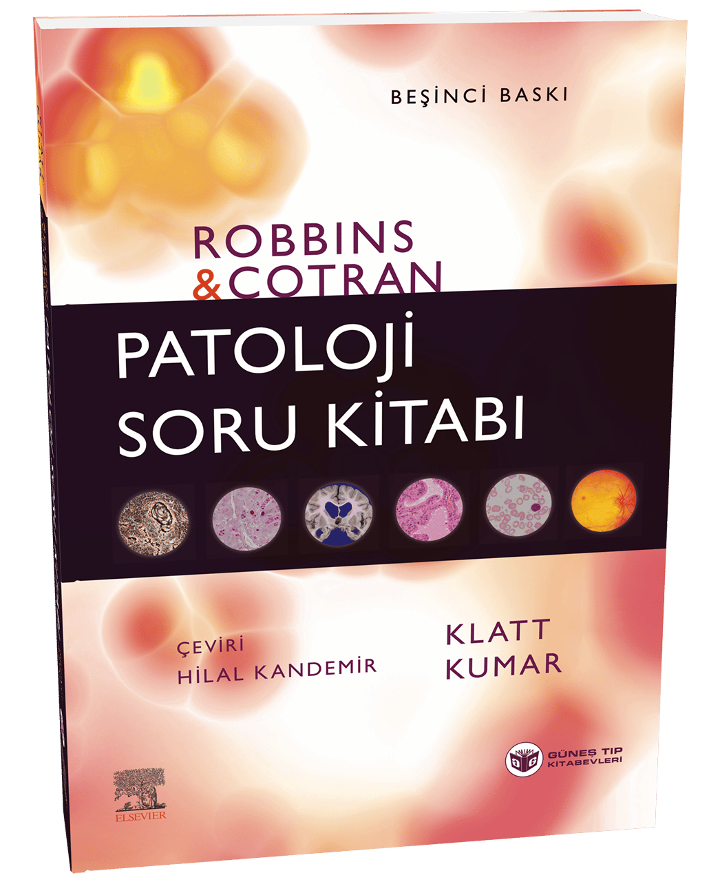 Robbins Patoloji Soru Kitabı (Kapsamlı Gözden Geçirme)