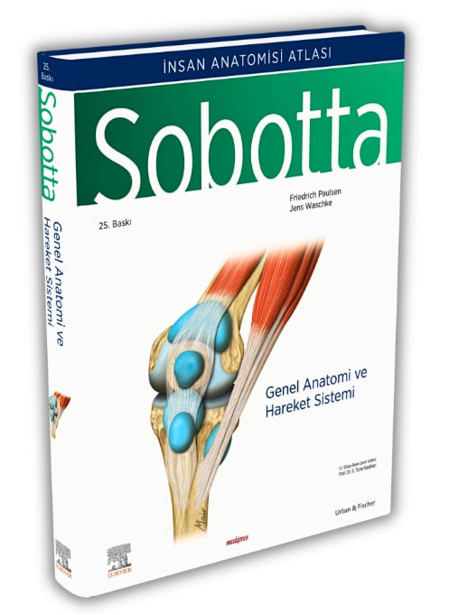 Sobotta Anatomi Atlası 4 Cilt Set (13. En Son Türkçe Baskı) + Sobotta Konu Kitabı