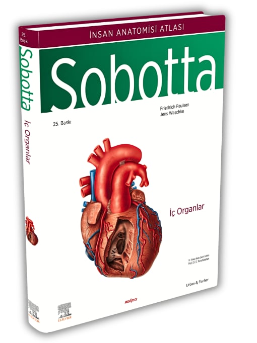 Sobotta Anatomi Atlası 4 Cilt Set (13. En Son Türkçe Baskı) + Sobotta Konu Kitabı