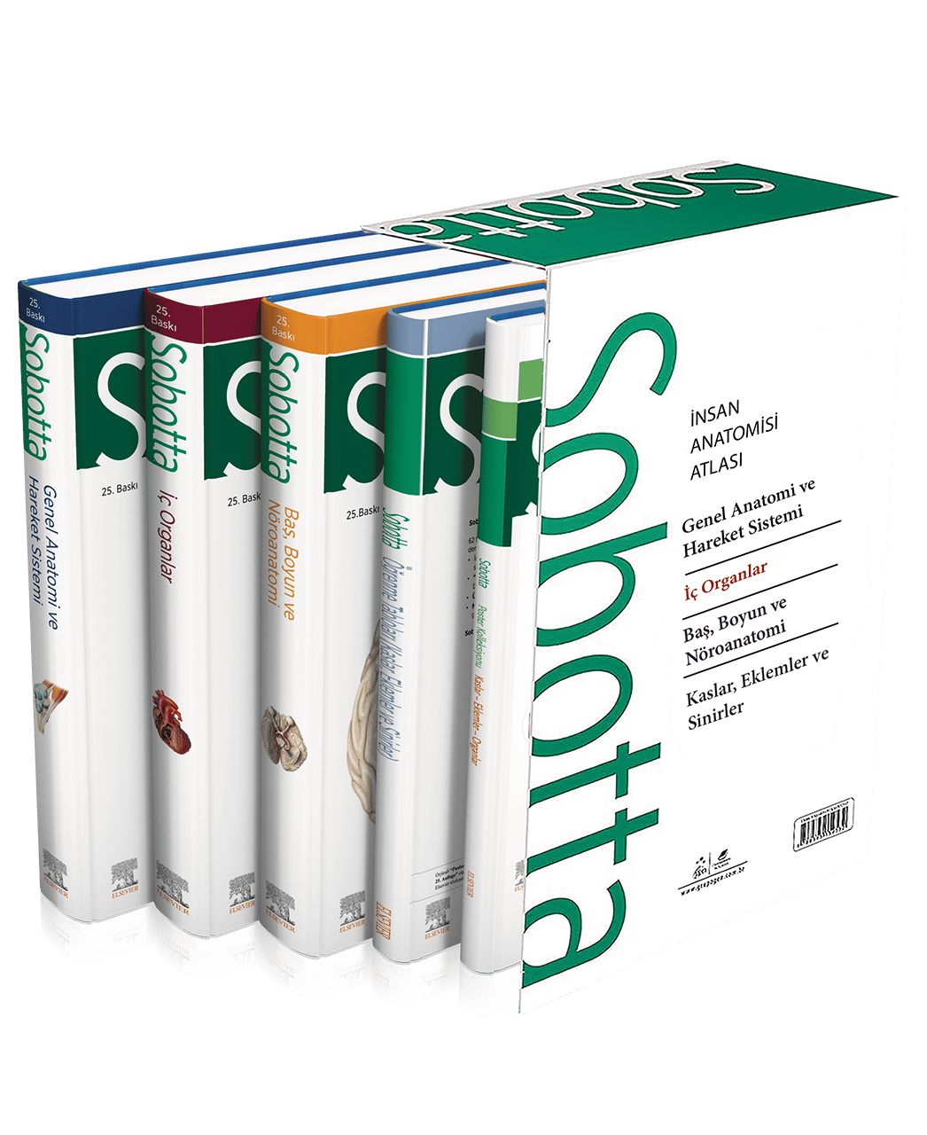 Sobotta Anatomi Atlası 4 Cilt Set (13. En Son Türkçe Baskı) + Sobotta Konu Kitabı