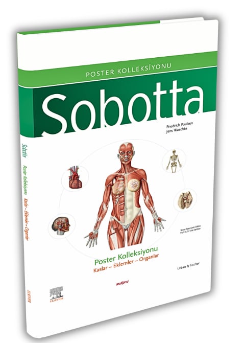 Sobotta Anatomi Atlası 4 Cilt Set (13. En Son Türkçe Baskı) + Sobotta Konu Kitabı