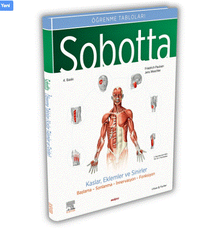 Sobotta İnsan Anatomisi Atlası Seti 4 Cilt ( 25. En Son Baskı - Türkçe 13. En Son Baskı)