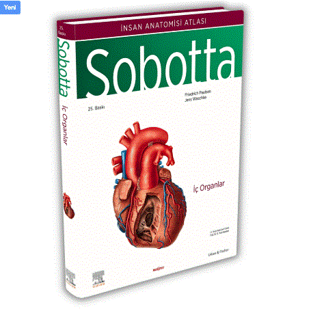 Sobotta İnsan Anatomisi Atlası Seti 4 Cilt ( 25. En Son Baskı - Türkçe 13. En Son Baskı)