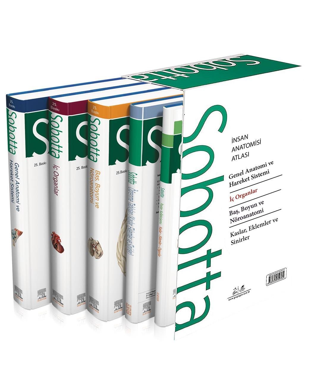 Sobotta İnsan Anatomisi Atlası Seti 4 Cilt + Anatomi Cep Kartları Seti