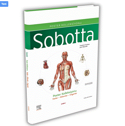 Sobotta İnsan Anatomisi Atlası Seti 4 Cilt ( 25. En Son Baskı - Türkçe 13. En Son Baskı)