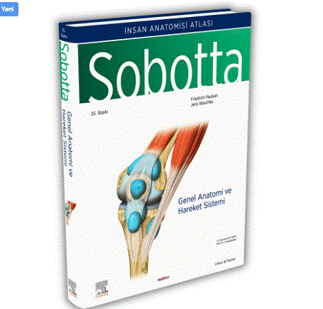 Sobotta İnsan Anatomisi Atlası Seti 4 Cilt ( 25. En Son Baskı - Türkçe 13. En Son Baskı)
