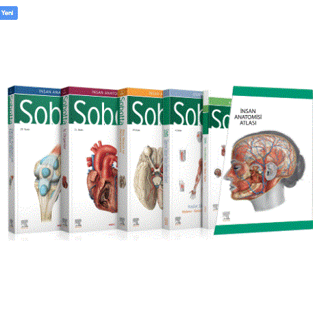 Sobotta İnsan Anatomisi Atlası Seti 4 Cilt ( 25. En Son Baskı - Türkçe 13. En Son Baskı)