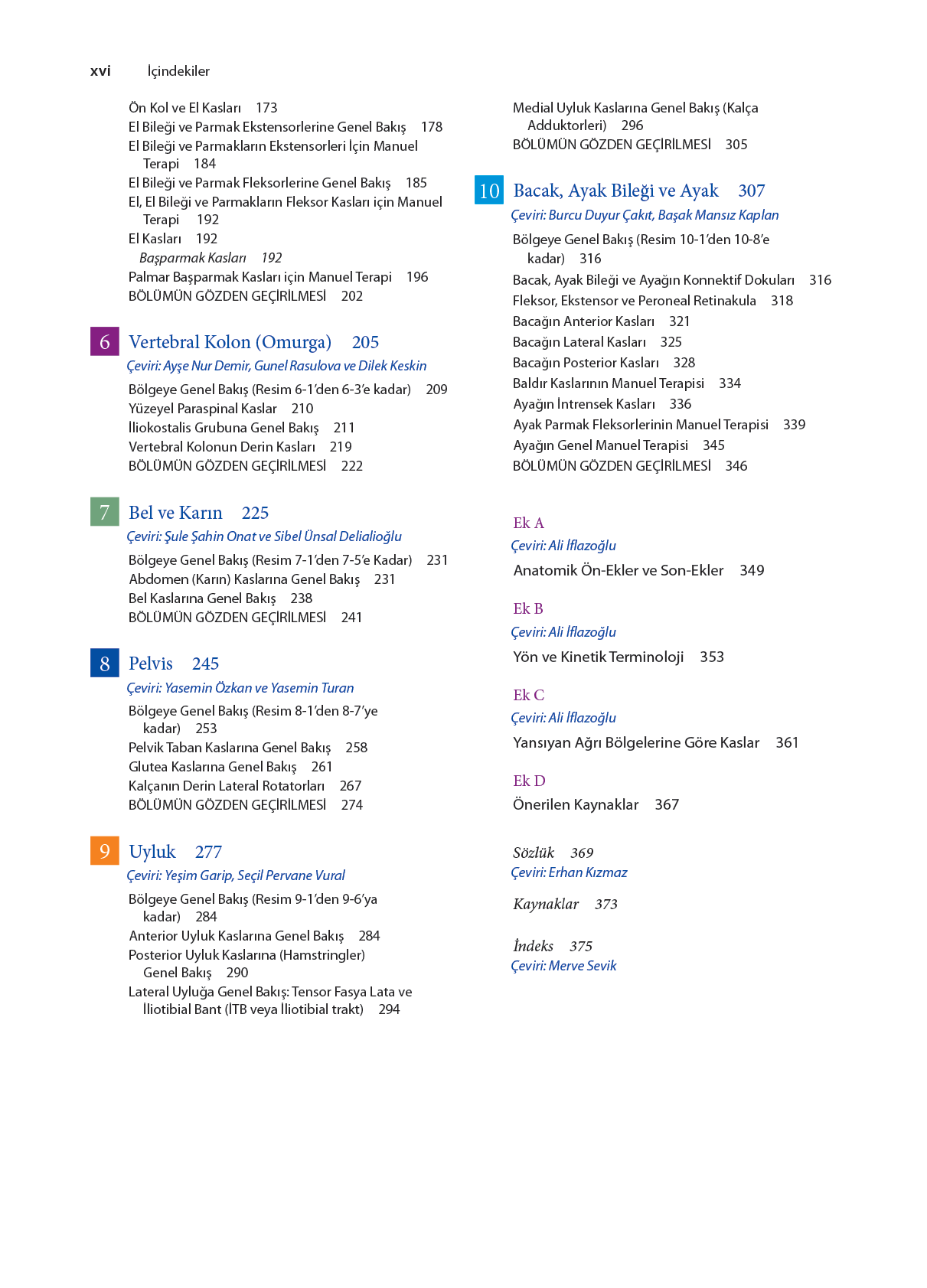 Temel Klinik Masaj Terapi