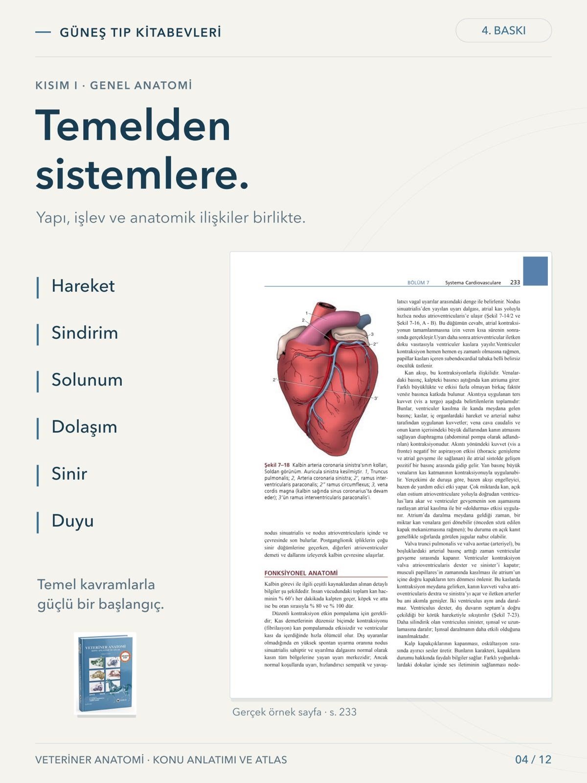 Veteriner Anatomi Konu Anlatımı ve Atlas
