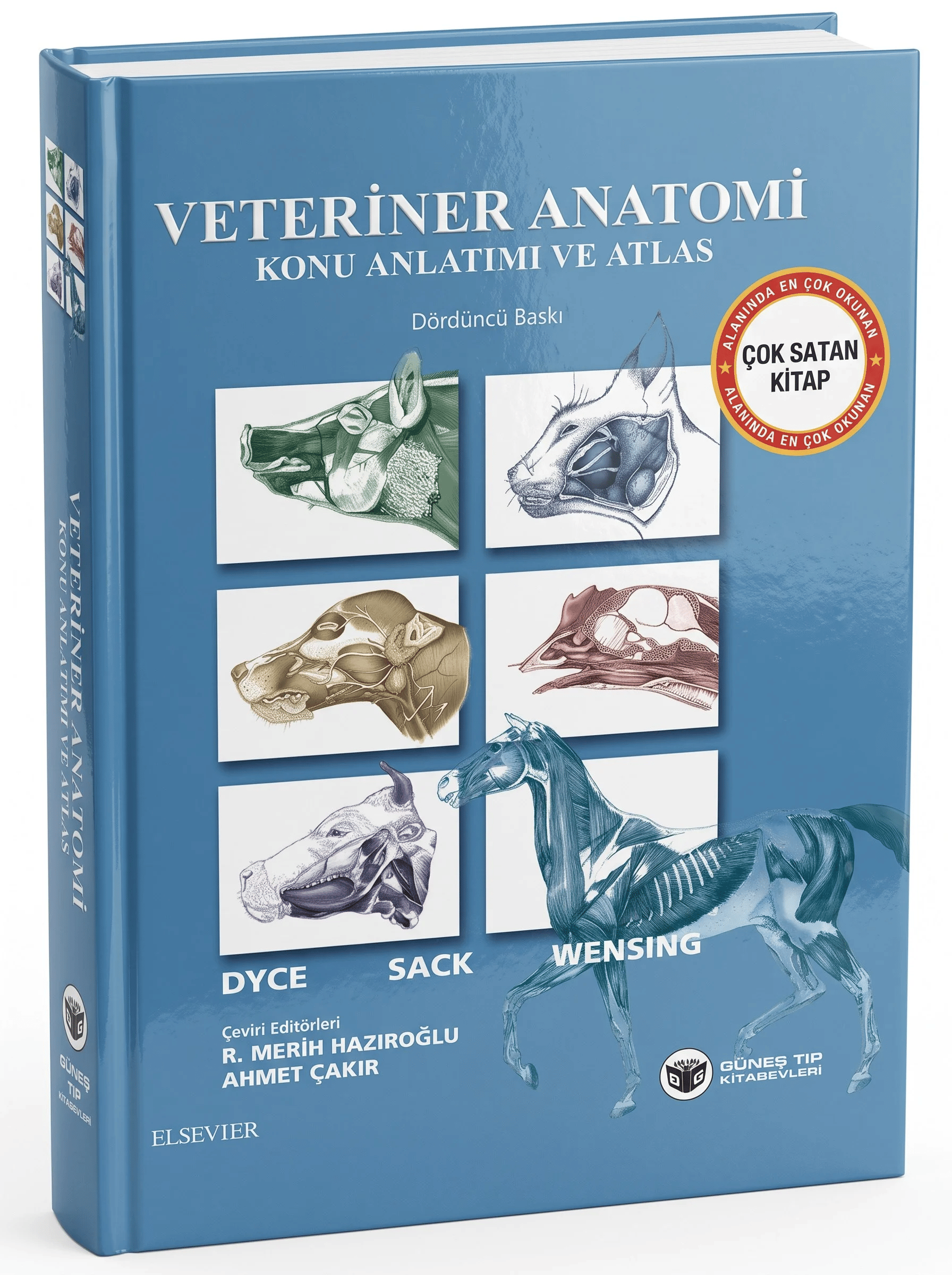 Veteriner Anatomi Konu Anlatımı ve Atlas
