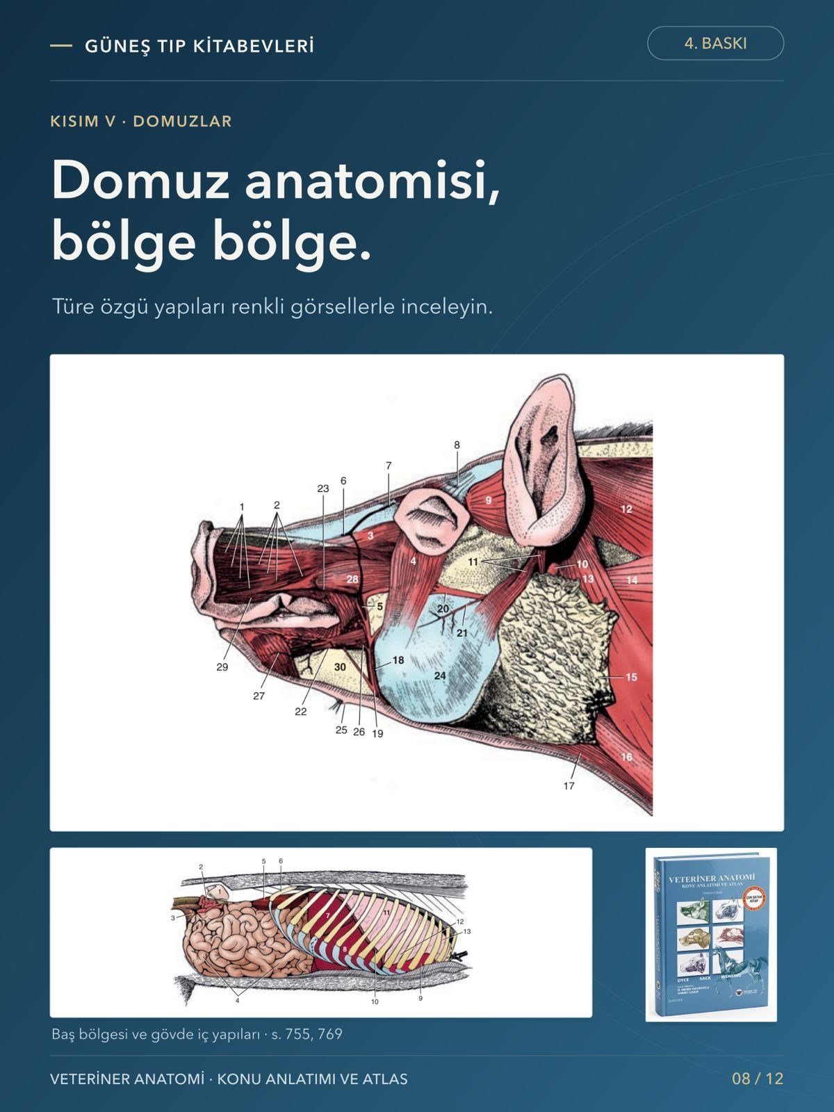 Veteriner Anatomi Konu Anlatımı ve Atlas