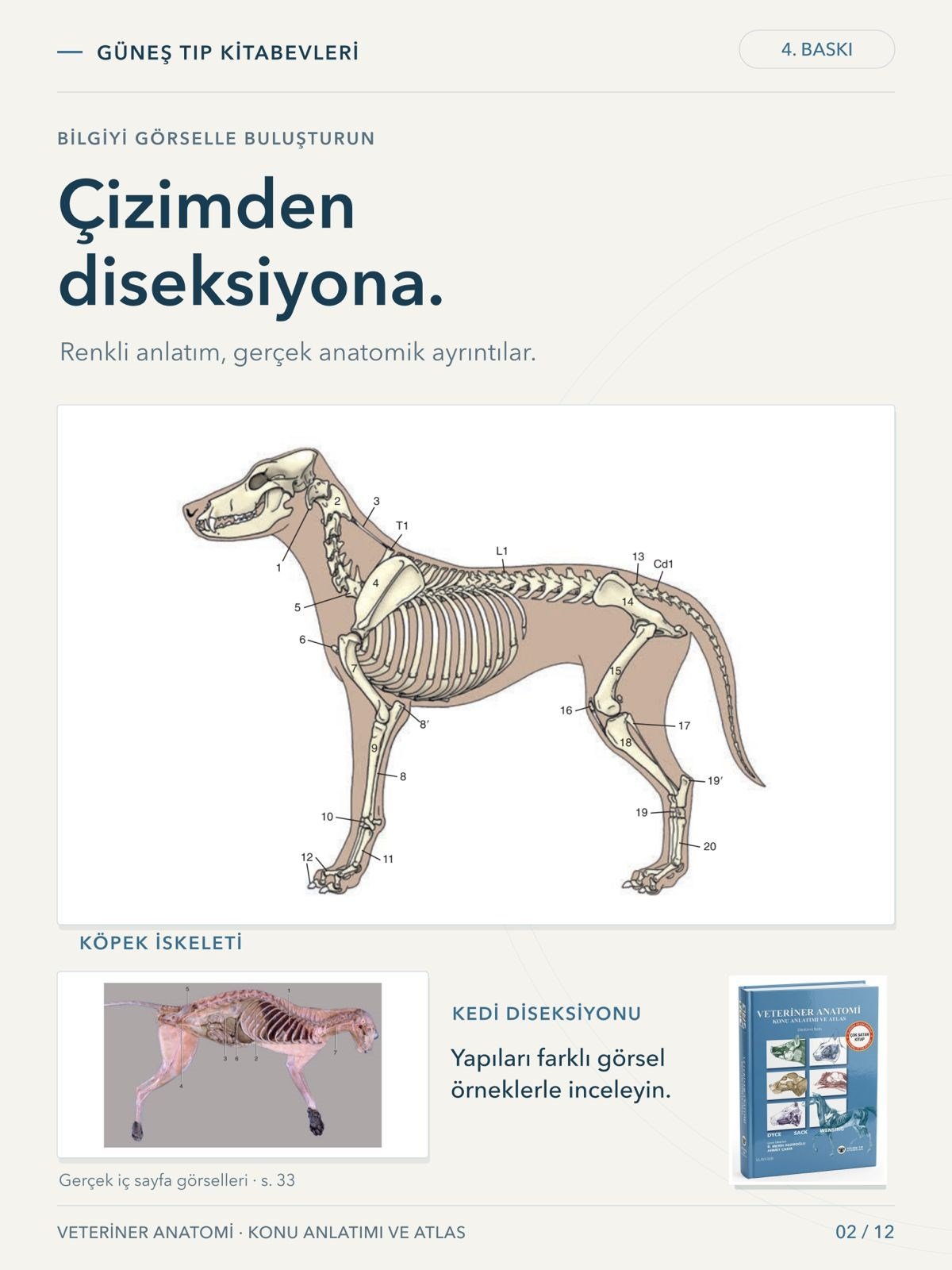 Veteriner Anatomi Konu Anlatımı ve Atlas
