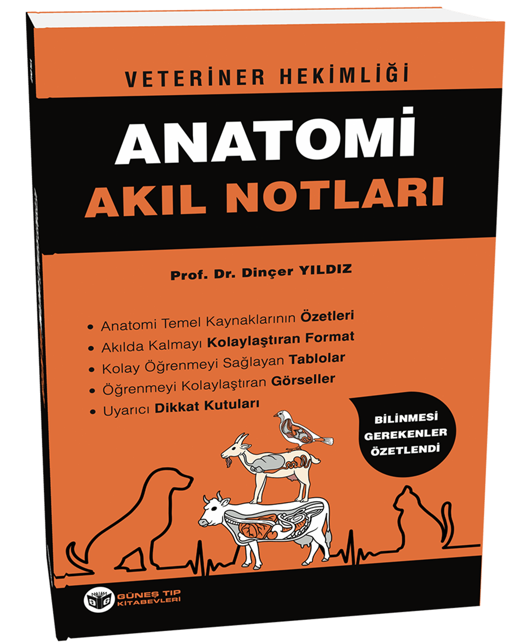 Veteriner Hekimliği Anatomi Akıl Notları