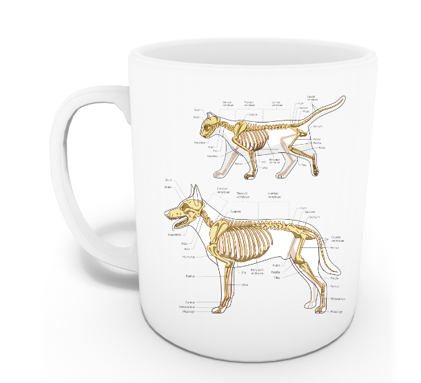 Veteriner Kupası (İsme Özel)