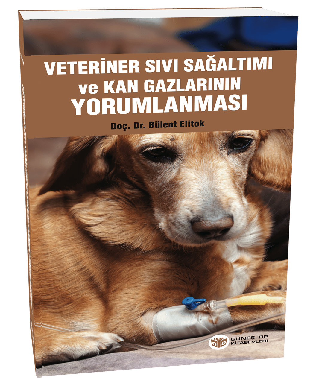Veteriner Sıvı Sağaltımı ve Kan Gazlarının Yorumlanması