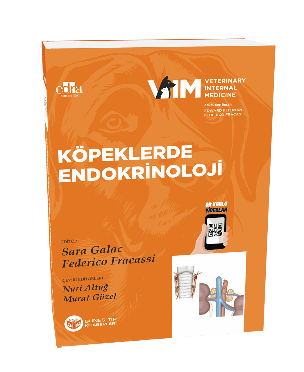 VIM Serisi- Veteriner İç Hastalıkları 4 Kitap Bir Arada