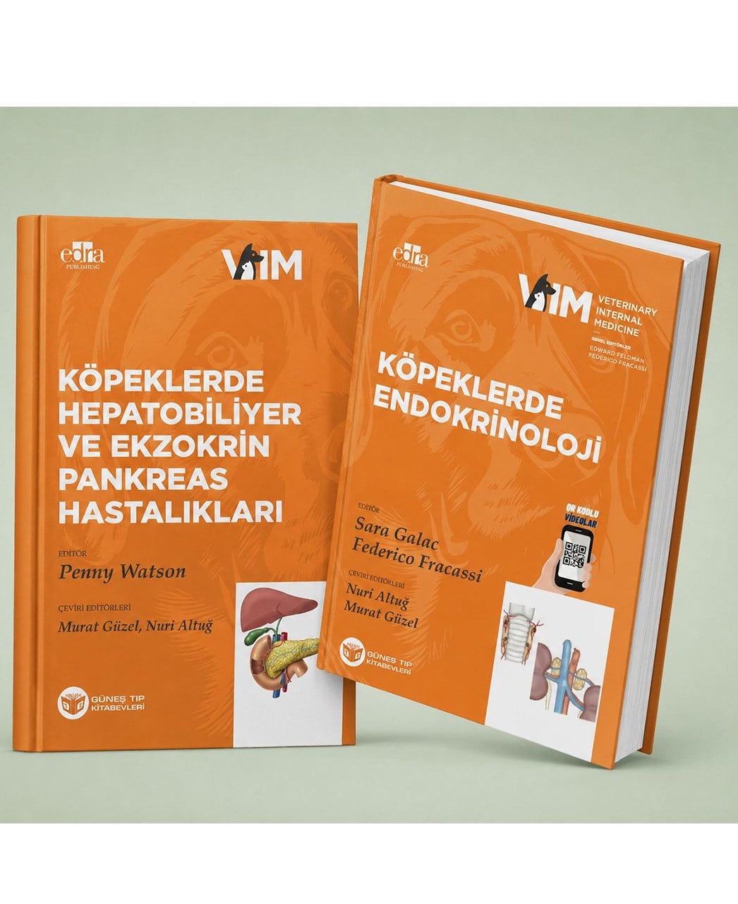 VIM- Veteriner İç Hastalıkları 2 Kitap Bir Arada (Hepatobiliyer & Endokrinoloji)
