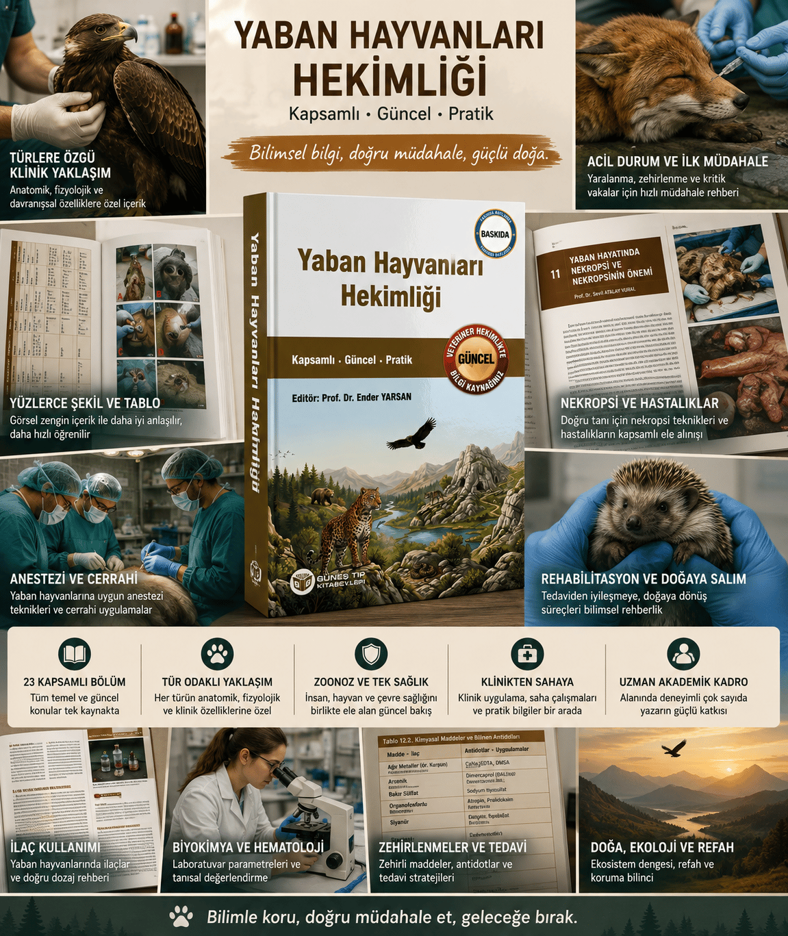 Yaban Hayvanları Hekimliği