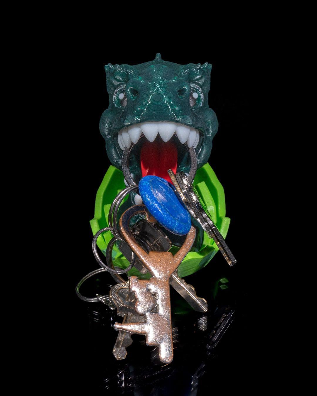 anahtar-rex-8-9d14.jpg