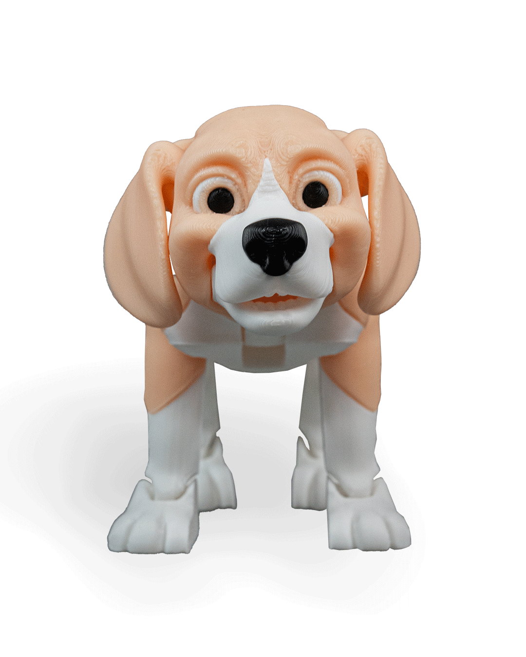 barry-the-beagle-aksesuar-2bc-87.png