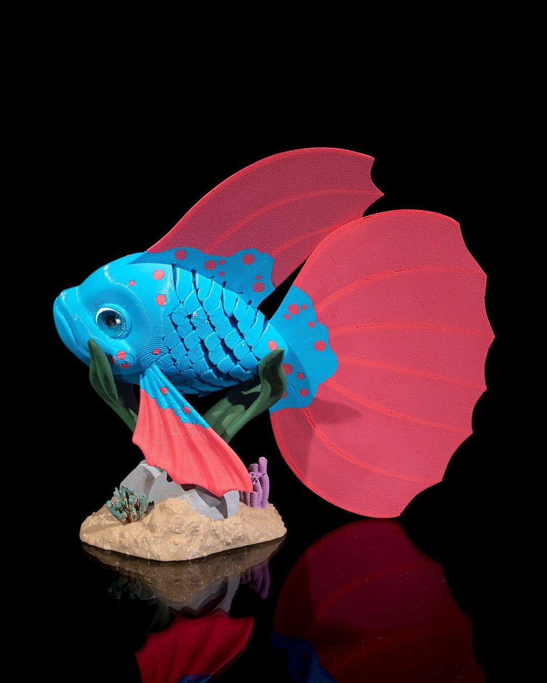 bella-betta-baligi--b1973.jpg