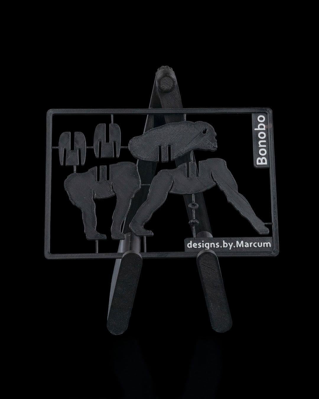 bonobo-kit-kart-e2d6d4.jpg