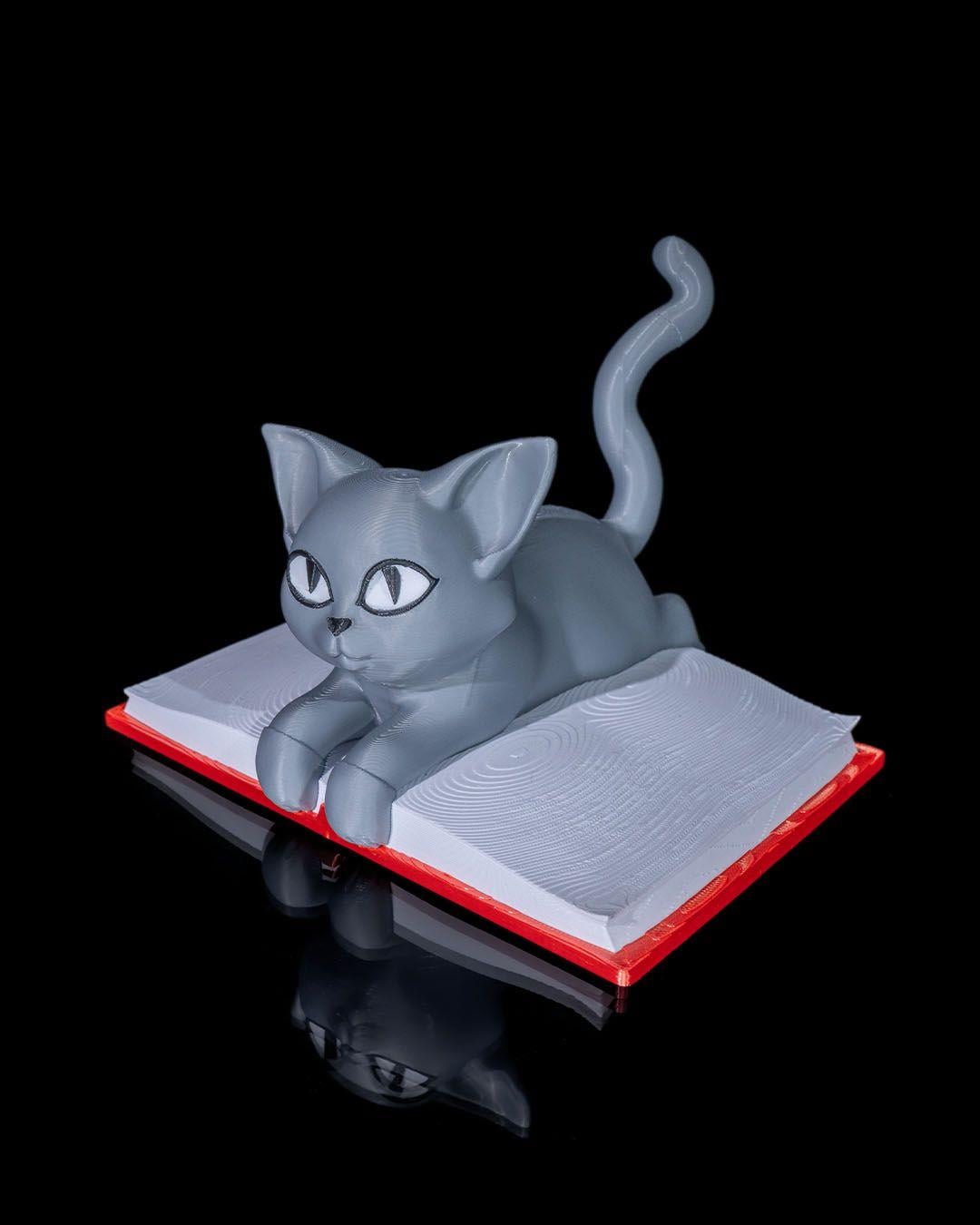 cattus-librum-dekoru-656-c9.jpg
