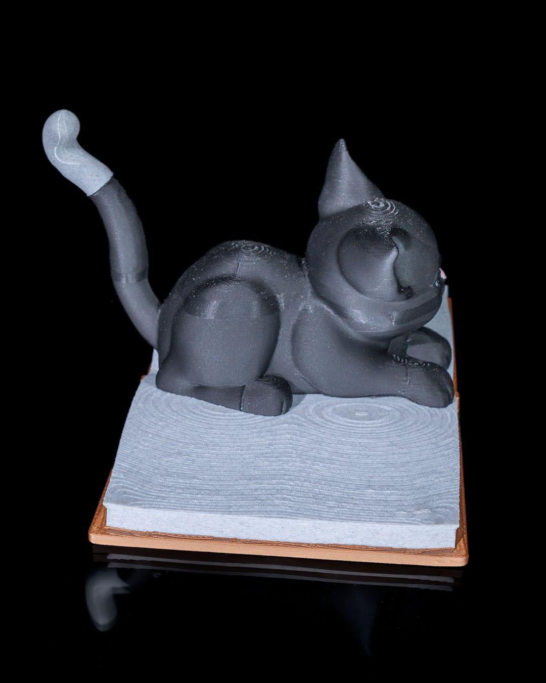 cattus-librum-dekoru-9-a830.jpg