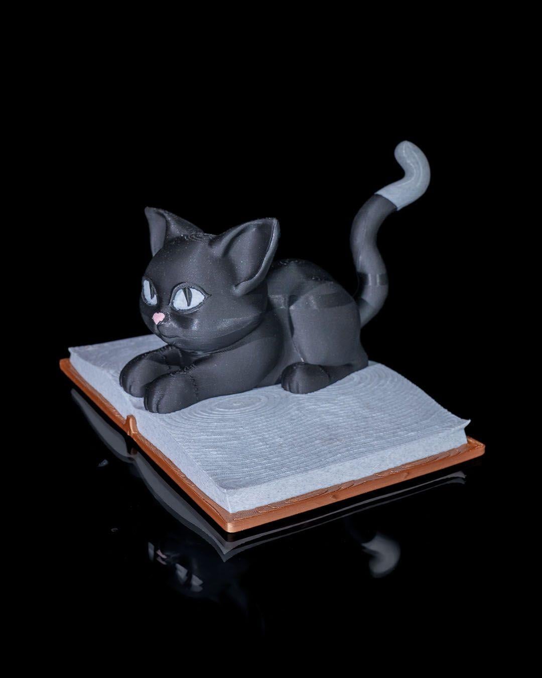 cattus-librum-dekoru-c1b-41.jpg