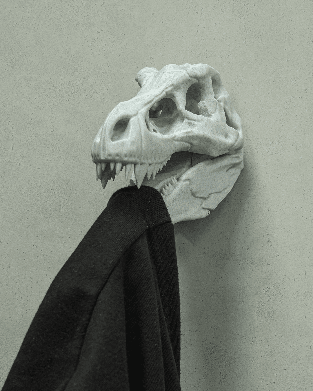 ceketimi-tut-t-rex--a76f-.png