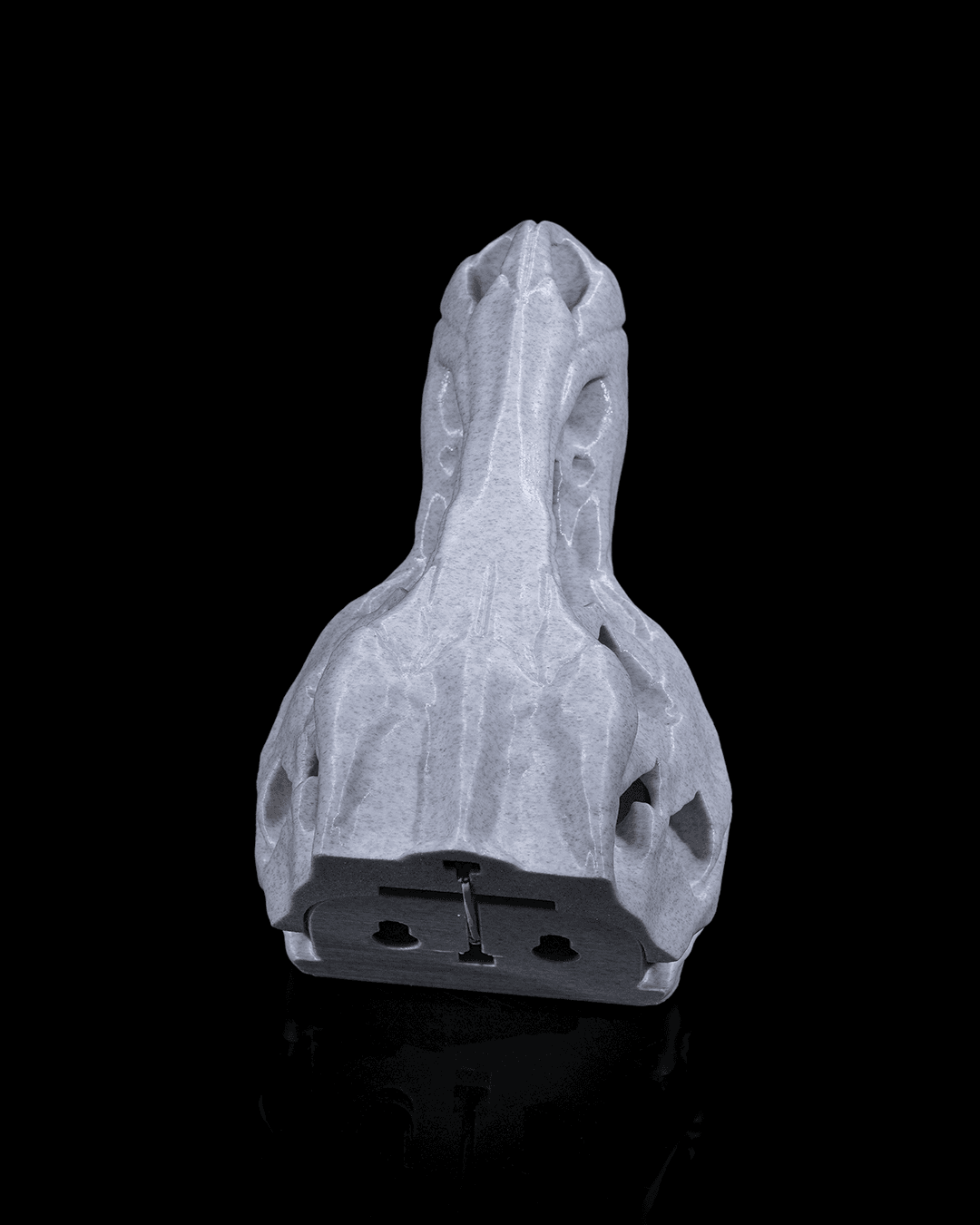 ceketimi-tut-t-rex-5-4317.png