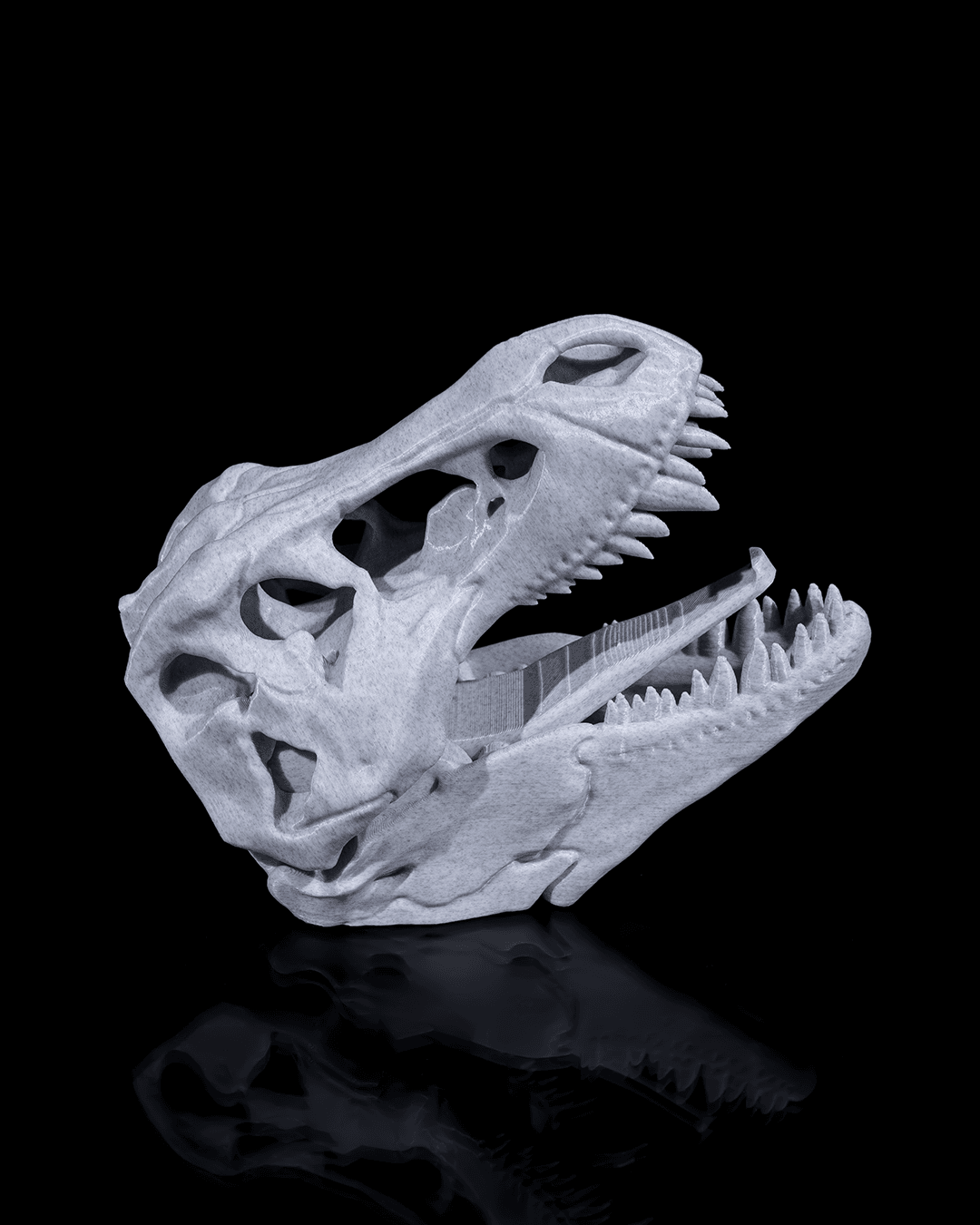ceketimi-tut-t-rex-601079.png
