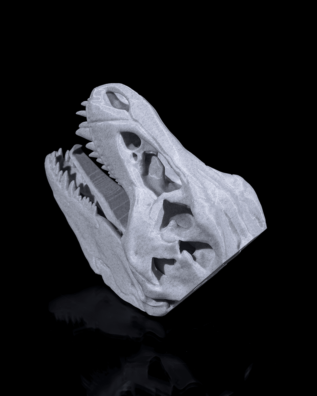 ceketimi-tut-t-rex-e0-d8b.png