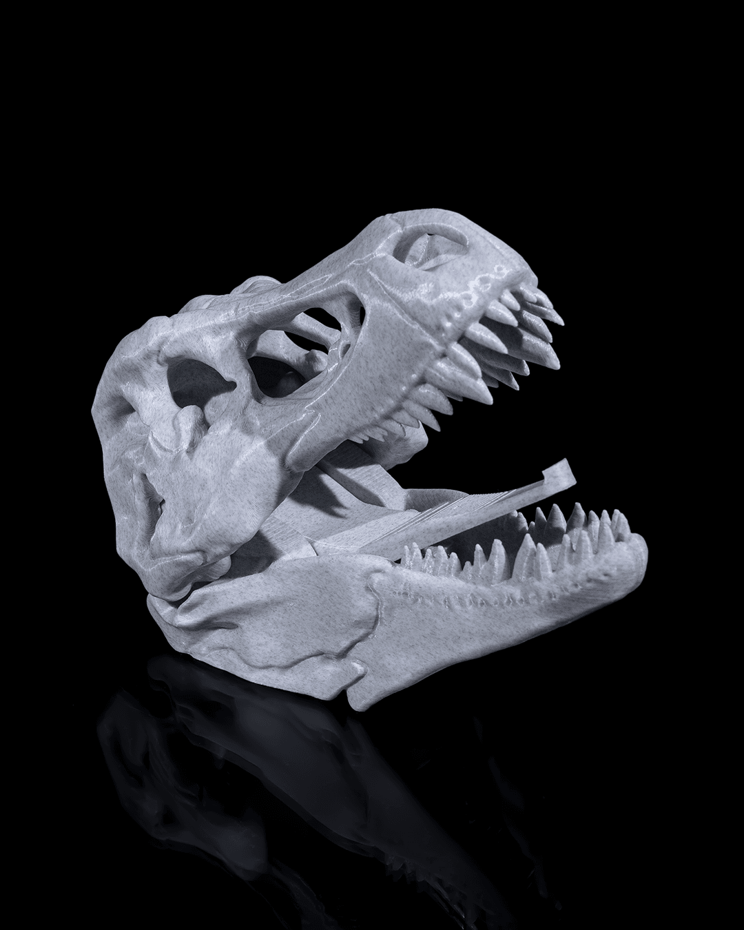 ceketimi-tut-t-rex-e5-bda.png
