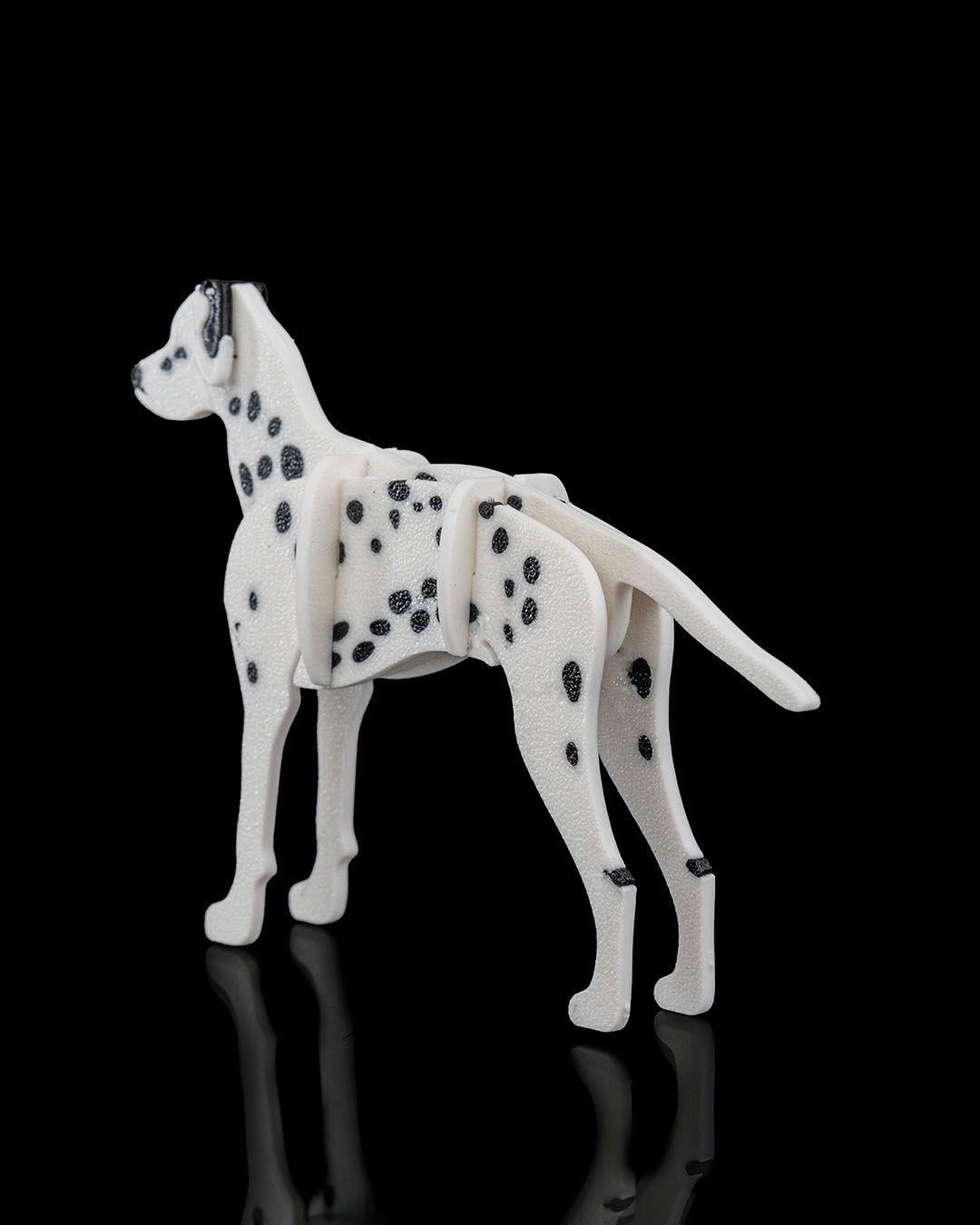 dalmacyali-kit-kart-dalmatian-kit-card--4e85-.jpg