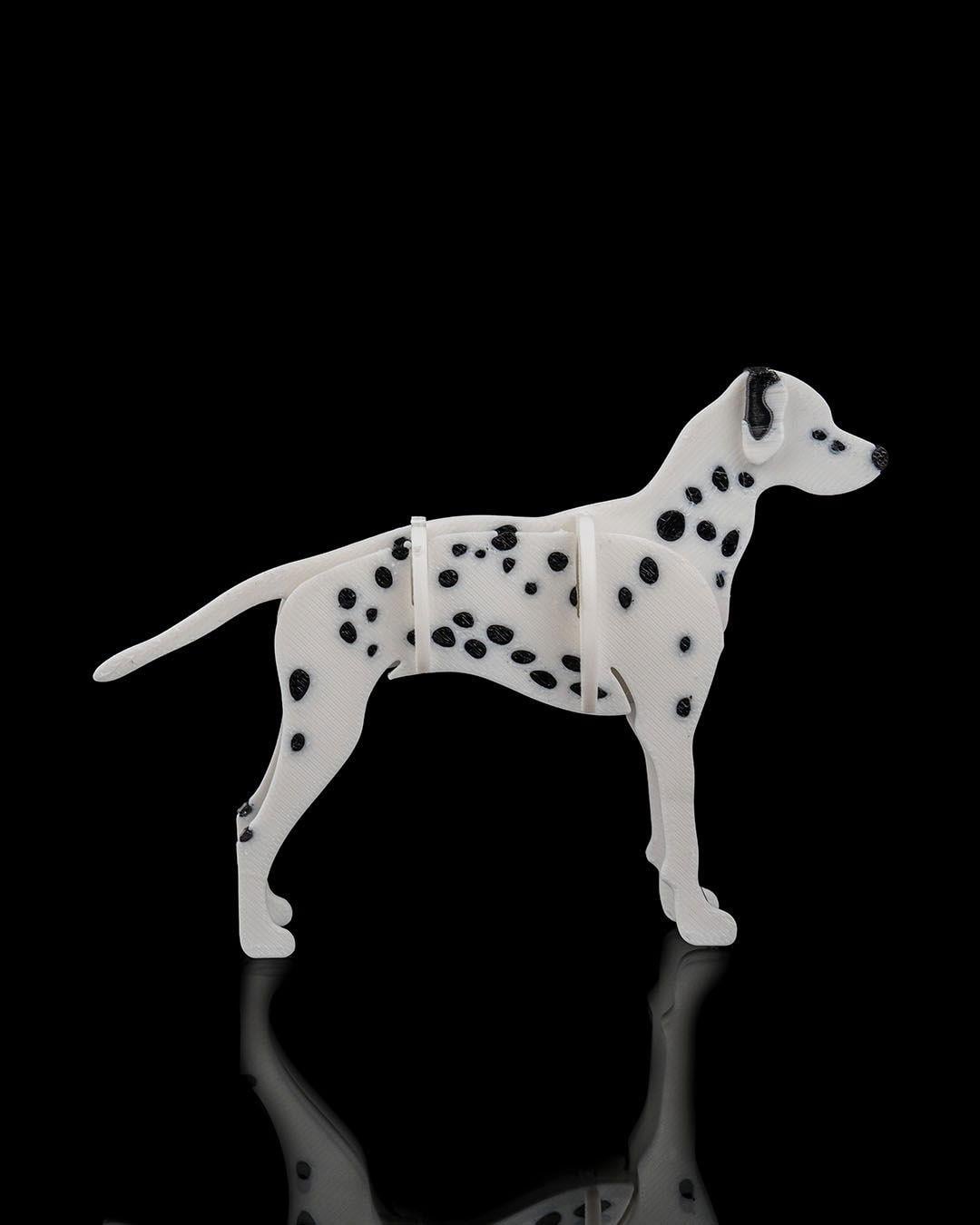 dalmacyali-kit-kart-dalmatian-kit-card-c13-aa.jpg