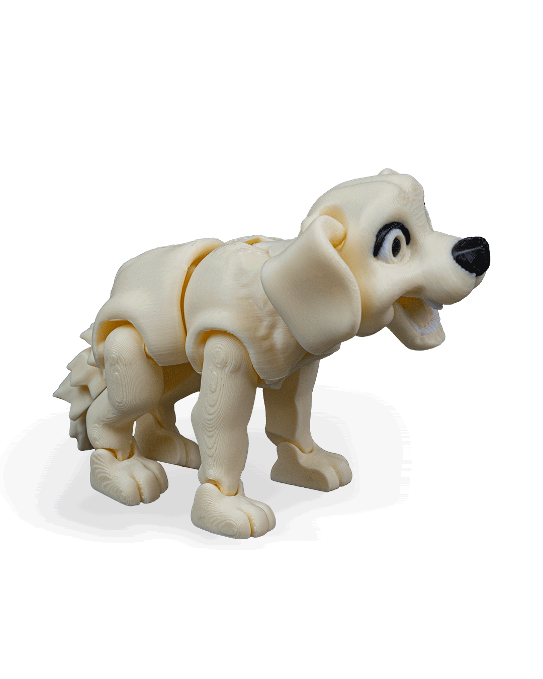 darla-the-labrador-aksesuar-1c668b.png
