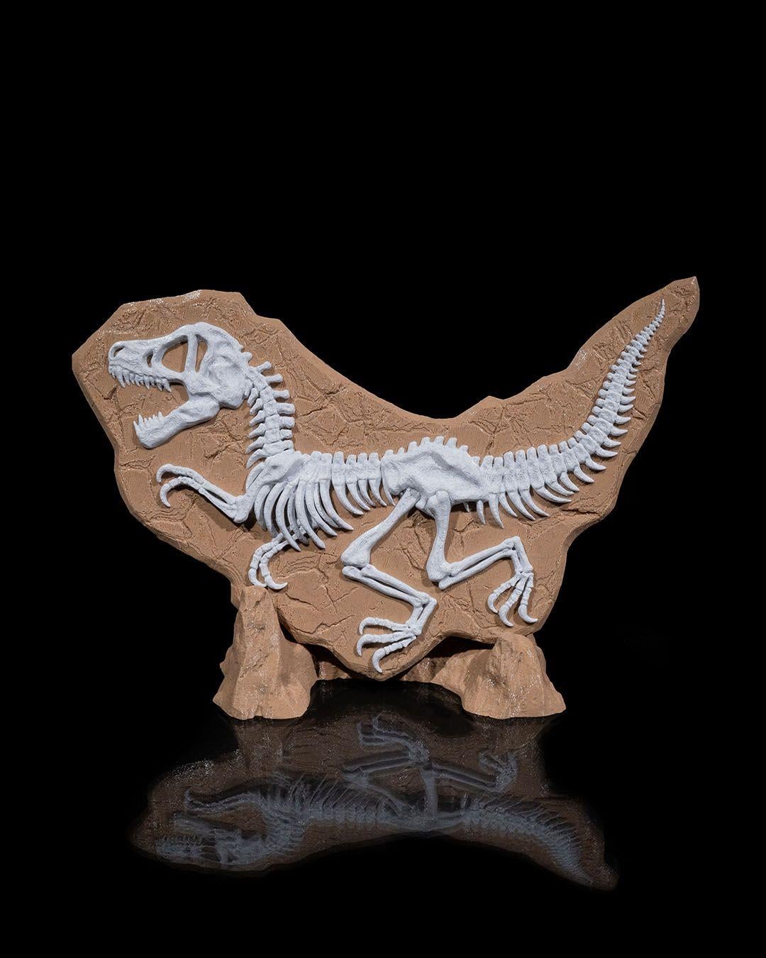 dino-kaniti-fb920-.jpg