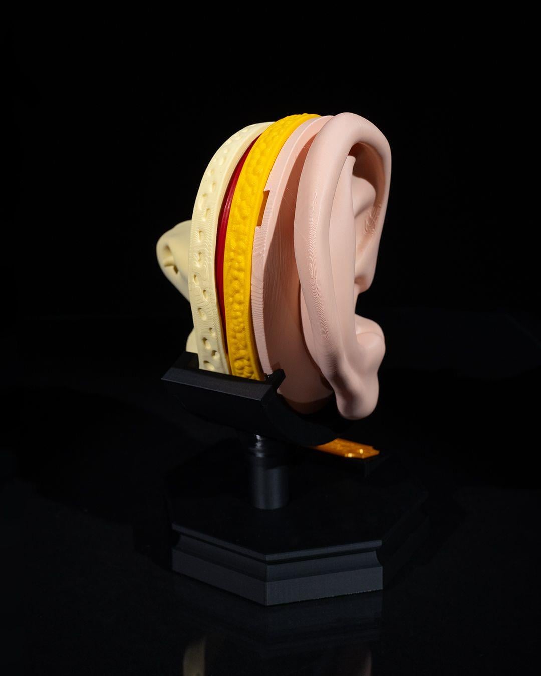 dis-ve-ic-kulak-modeli-7632-4.jpg