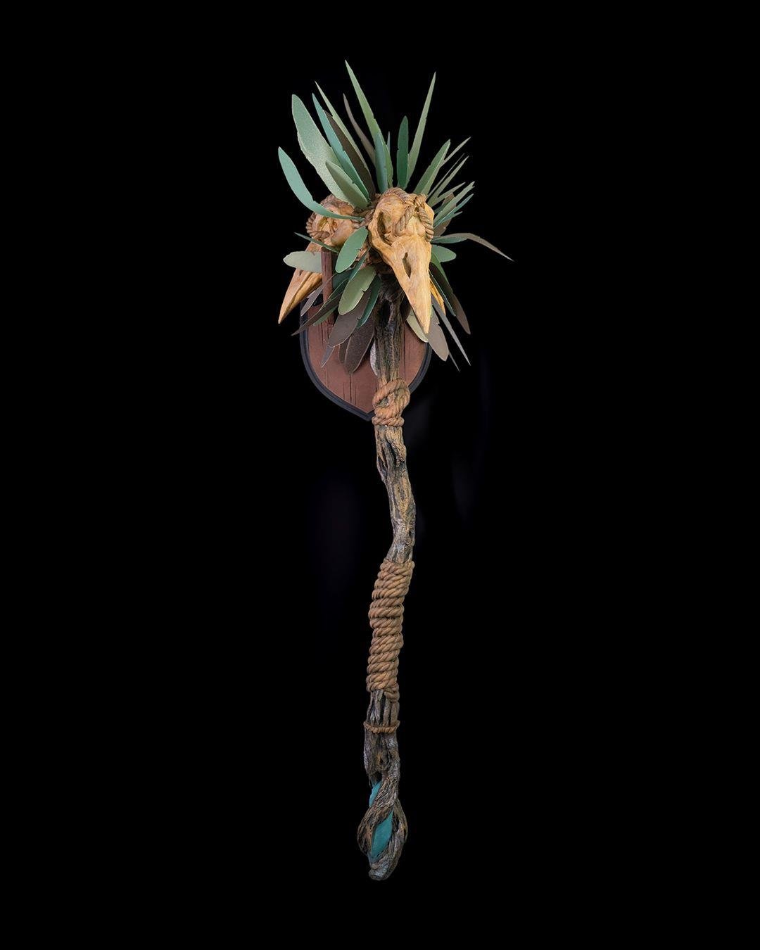 druid-asasi--419a-.jpg
